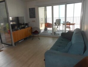 TV, video games, DVD player, books - Appartement Parisien Avec Jardinet ; Nombreux Transports en Commun (Paris)