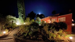 Een nachtzicht van een huis met een stenen trap die leidt naar een rood gebouw, omringd door verlichte planten en een grote boom.