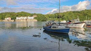 A calm harbor with boats docked, a swan swimming, and houses in the background. - Egret (Milford Haven)