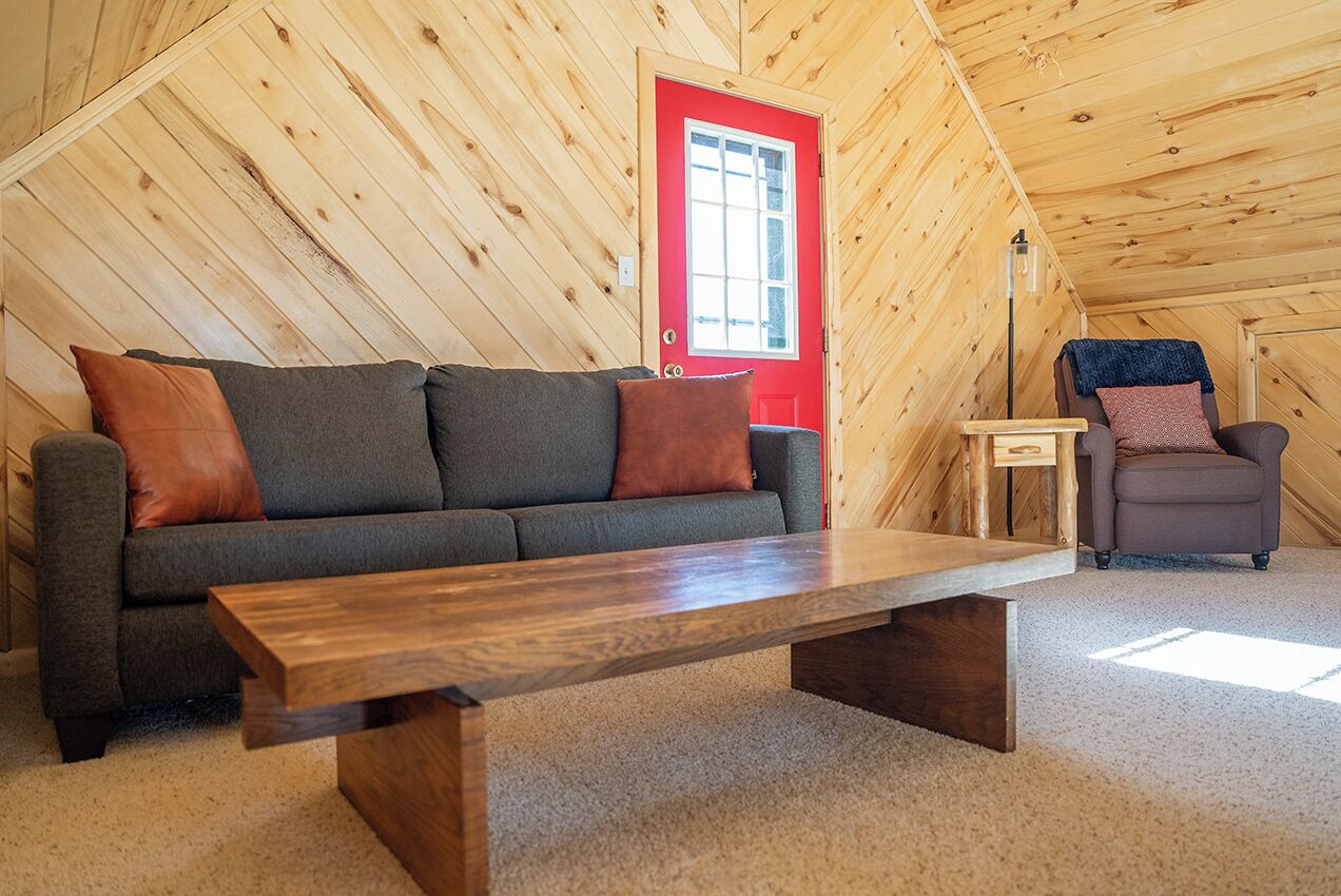 TV, fireplace, DVD player, books