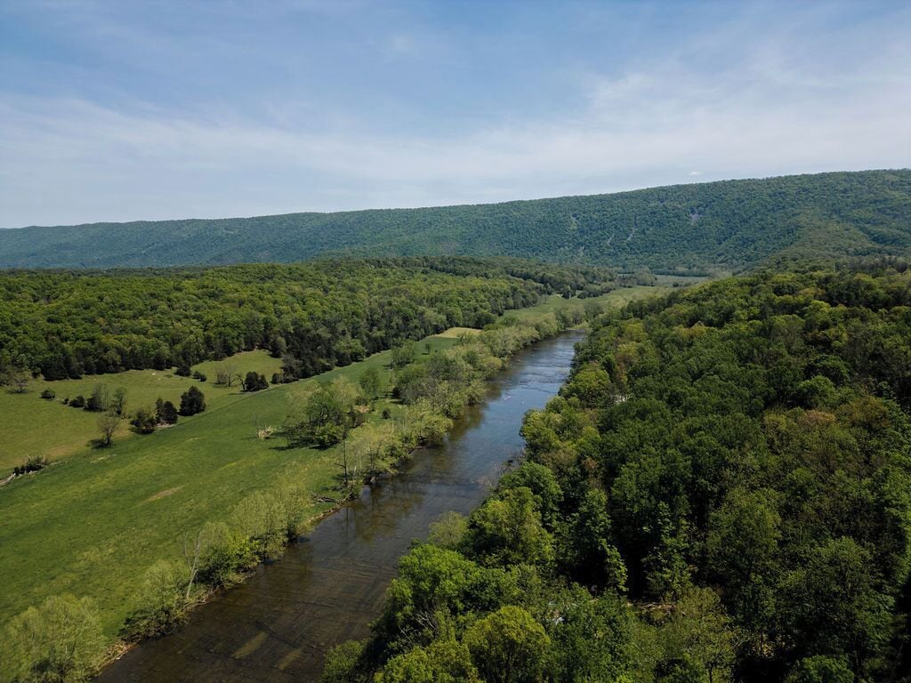 A river flowing through a densely forested valley with rolling hills in the background.