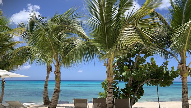 A beach with palm trees, lounge chairs, and a clear view of the ocean.