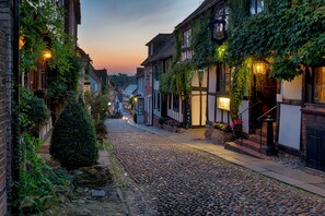 Una calle adoquinada flanqueada por edificios tradicionales, algunos con hiedra y macetas con flores, y farolas.