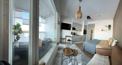 Ripaus luxusta, Moderni yksiö