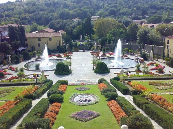 Property grounds - Agrotourism - Apartment with pool (Lamporecchio)