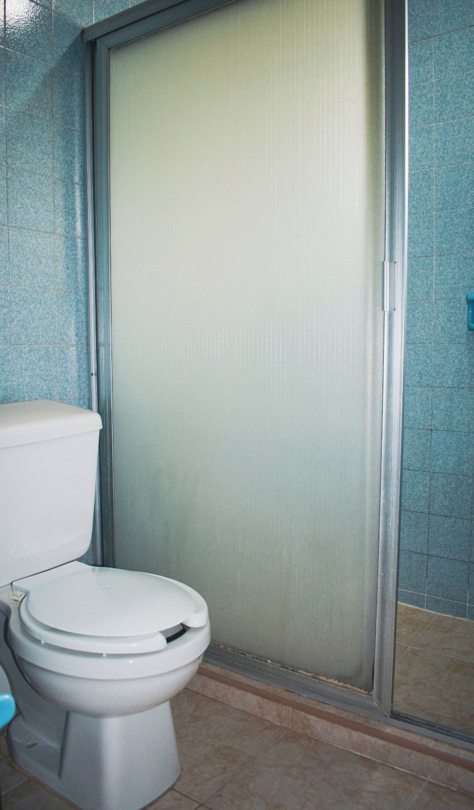 Sanitário com assento e tampa brancos, ao lado de uma área de chuveiro com porta de vidro.
