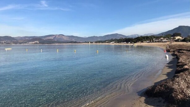 A coastal landscape with clear water, a sandy beach, and distant mountains. - Grand T2, Centre Porticcio, 'tout à Pied', vue mer (Grosseto-Prugna)