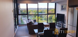 Televisor