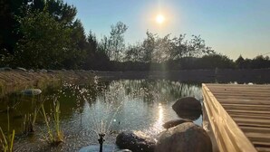 Fredfyldt udendørs miljø med et bassin, en træterrasse og en solbelyst himmel.