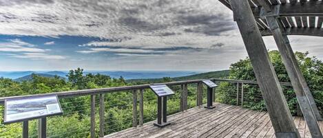 テラス / パティオ