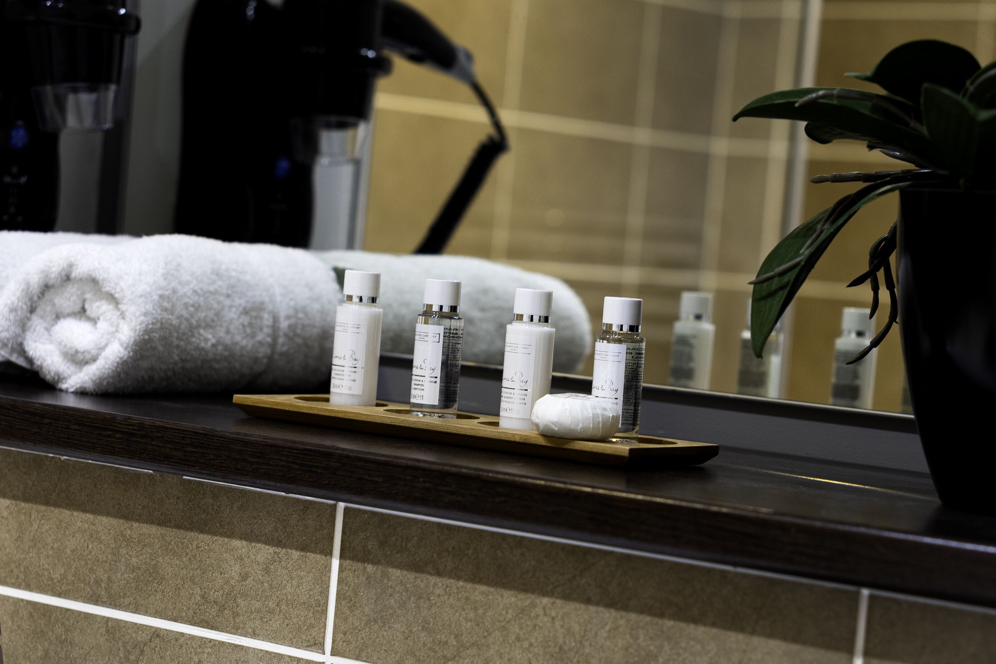 A bathroom counter with a towel, toiletries, and a potted plant.