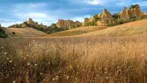 Un paisaje natural con colinas ondulantes y un campo de flores silvestres.