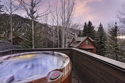 12MM Aspen Residence -Walk to Town & Ski Slopes by Aspen Vacation Rentals
