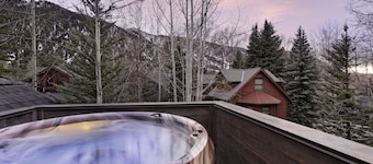 12MM Aspen Residence -Walk to Town & Ski Slopes by Aspen Vacation Rentals™