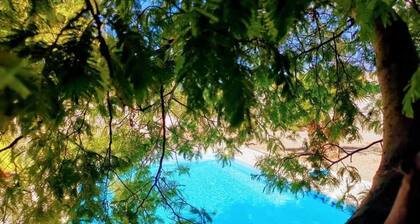 Maison de vacances "Villa Napoléon" avec piscine privée et Wi-Fi