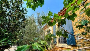 Un bâtiment en pierre à l’aspect rustique, avec une petite fenêtre et un arbre aux larges feuilles au premier plan.