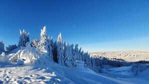 Et sneklædt landskab med snedækkede træer og en klar blå himmel.
