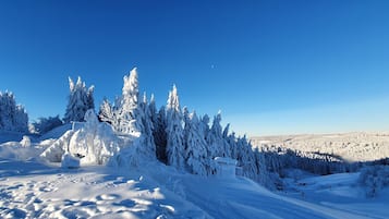 Wintersport/Ski