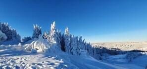 Sneeuw- en skisporten