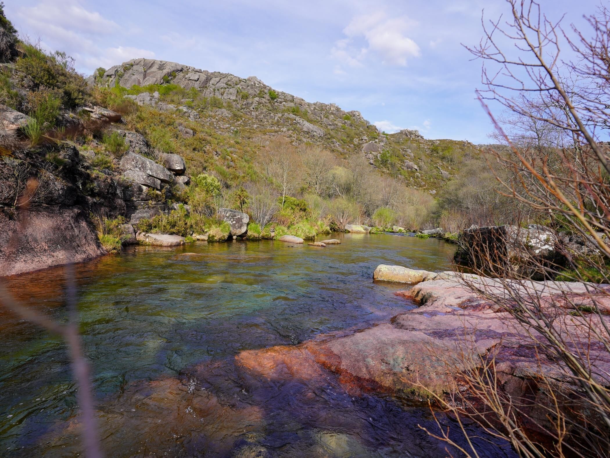 A clear river with rocks and sparse vegetation.