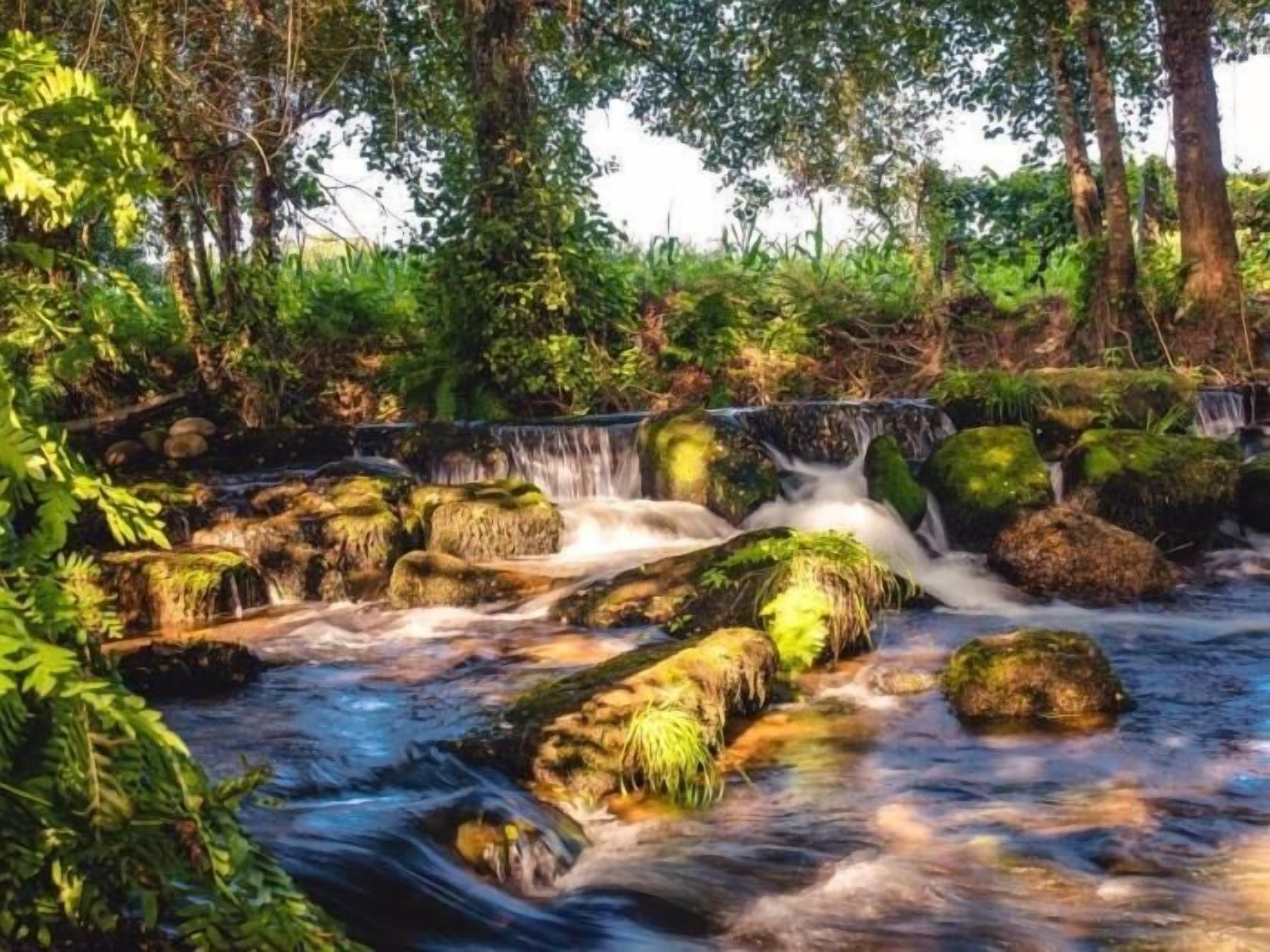Et naturligt vandfald med faldende vand over sten, omgivet af frodig vegetation.