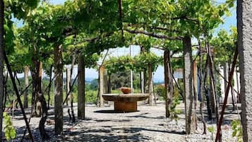 Terrein van de accommodatie