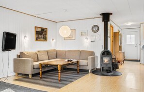 智能电视、壁炉