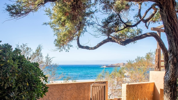 Vista costera con un portón de madera, un muro de piedra y un árbol.