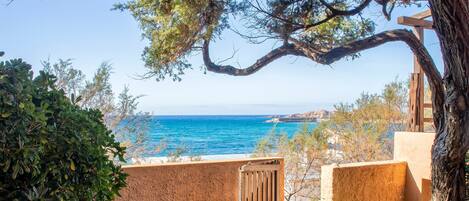 A coastal view with a wooden gate, a stone wall, and a tree.
