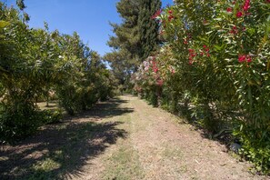 Property grounds - Holiday Home 'Isula Paradise' with Mountain View, Private Terrace (LINGUIZZETTA)