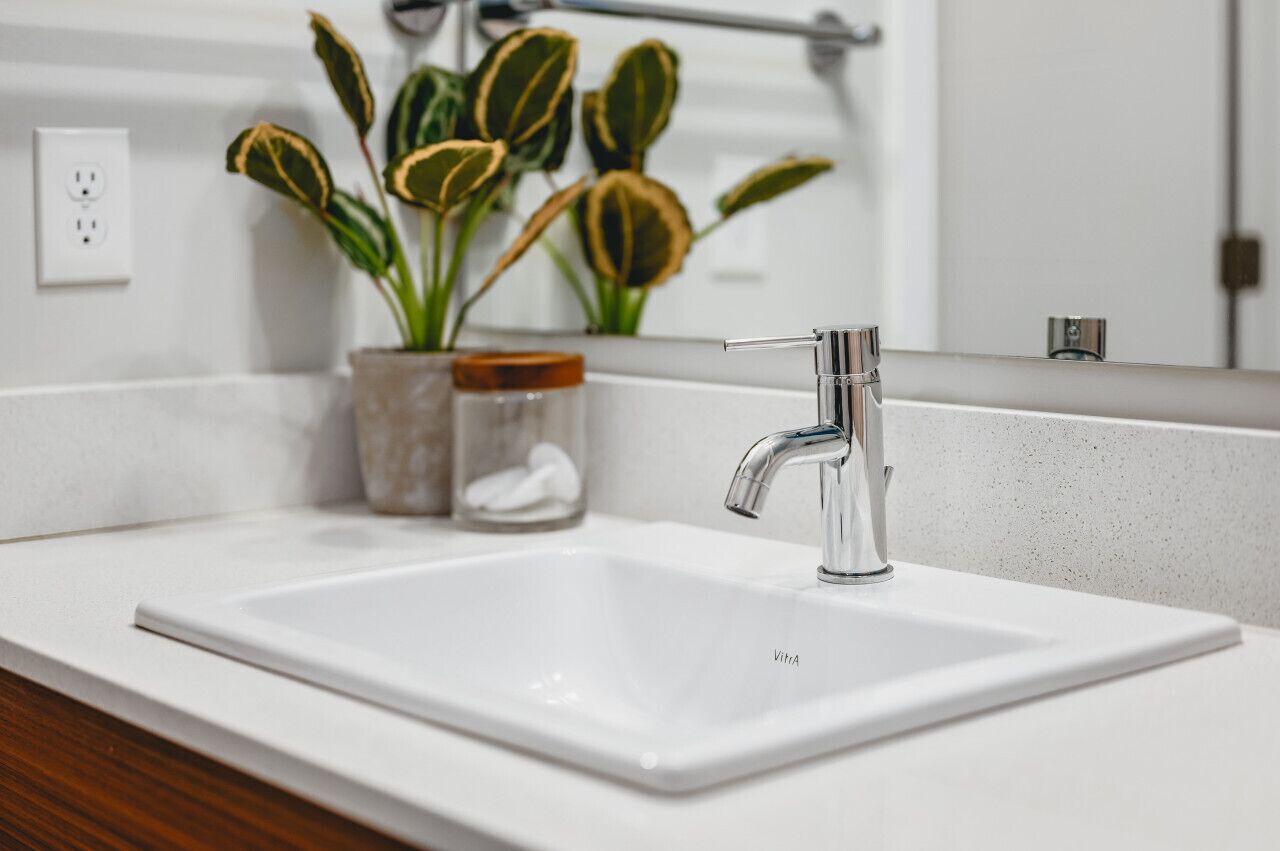 A bathroom with a white sink, chrome faucet, and a mirror above it. There is a potted plant with variegated leaves and a jar with a lid on the counter.