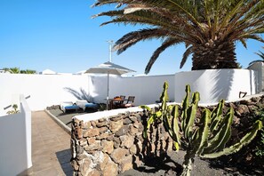 Un patio con pared de piedra, un cactus y una palmera.
