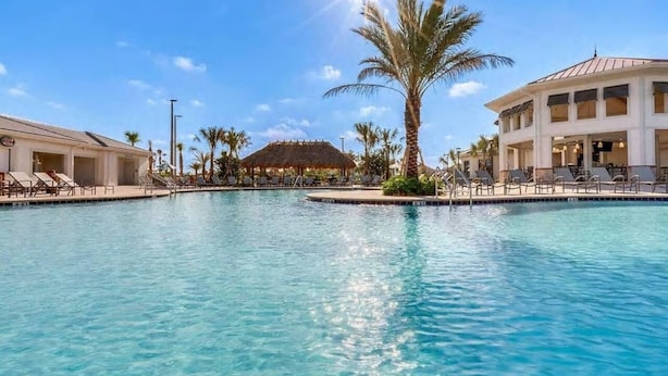 A swimming pool with lounge chairs and a palm tree.