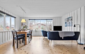 Smart-TV, Kamin