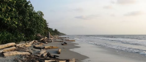 Playa
