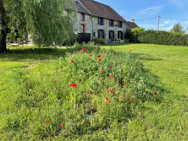 Áreas de la propiedad