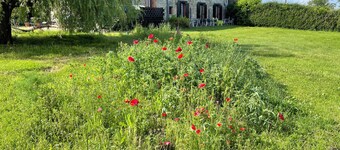 SUNRISE - An independant 2 bedroomed gite