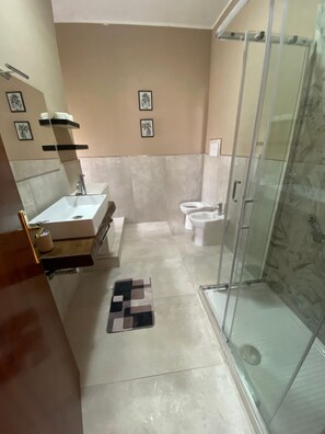 Shower, hair dryer, bidet, towels