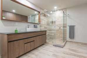 Chuveiro, secador de cabelo, toalhas de banho, papel higiênico