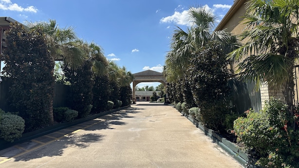 A paved driveway leading to a building with a covered entrance, surrounded by dense greenery and a clear blue sky. - Palace Inn I-45 & Bellfort (Houston)