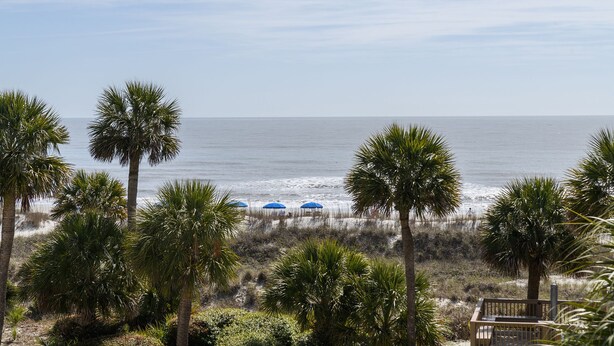 A beach view with palm trees and a wooden deck.