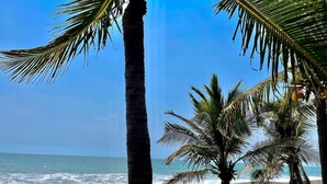 A beach view with palm trees and the ocean.