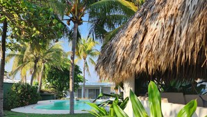 A pool area with a thatched roof, palm trees, and a well-maintained lawn.