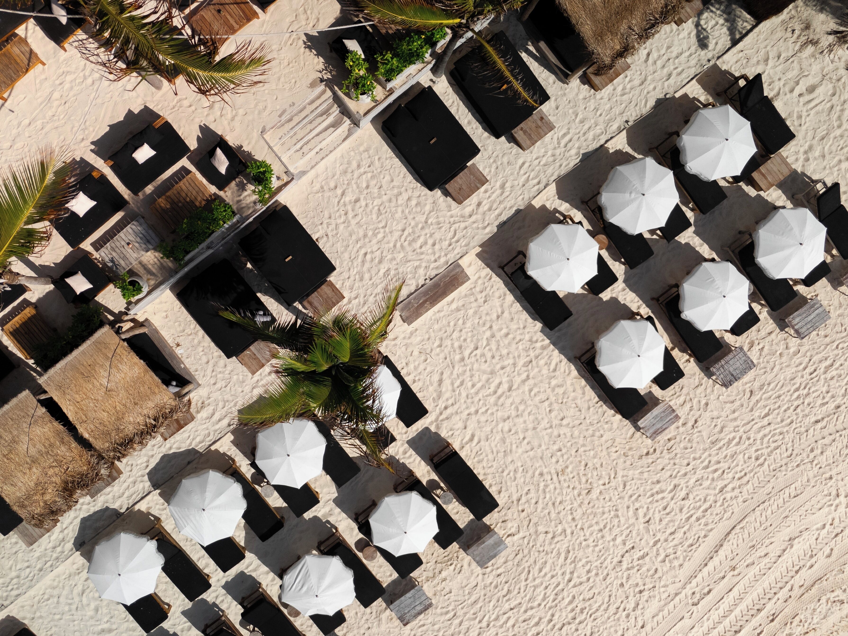 An aerial view of a beach with rows of sun loungers and umbrellas, some with thatched roofs, and palm trees.