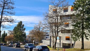 Eine Straße mit parkenden Autos, Bäumen und modernen Gebäuden.