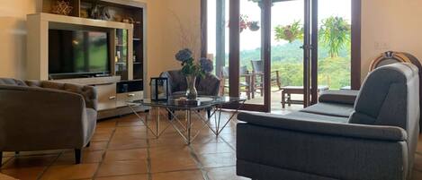 Smart TV, chimenea y estéreo