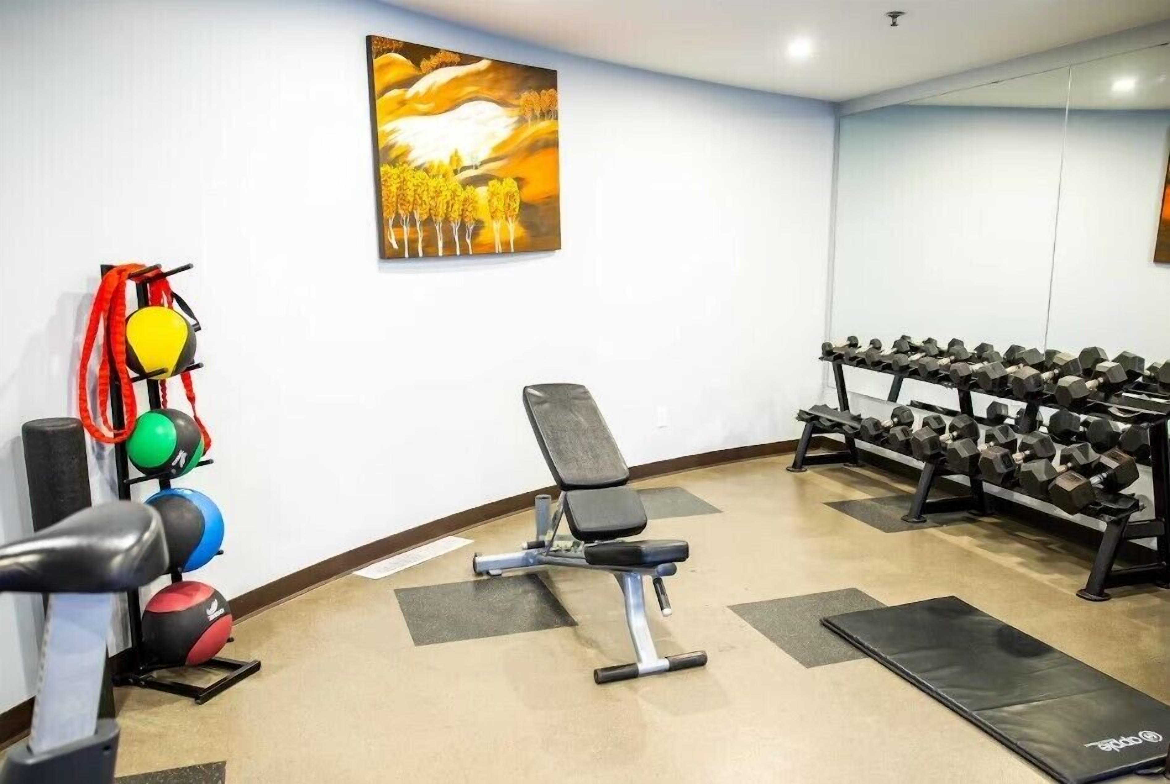 A gym with exercise equipment, a bench, and a wall-mounted painting.