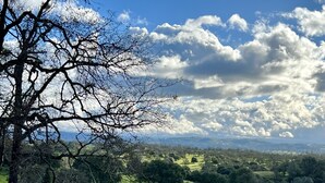 A grassy landscape with a wooden bench, a fence, and a distant view of hills and trees. - A Vineyard TinyHome Escape (Angels Camp)