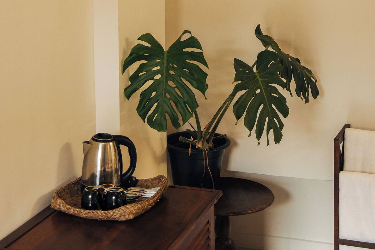 Ein Holzkabinett mit einem Wasserkocher, Tassen, einer Kübelpflanze Monstera und einem Stuhl mit einem Handtuch.