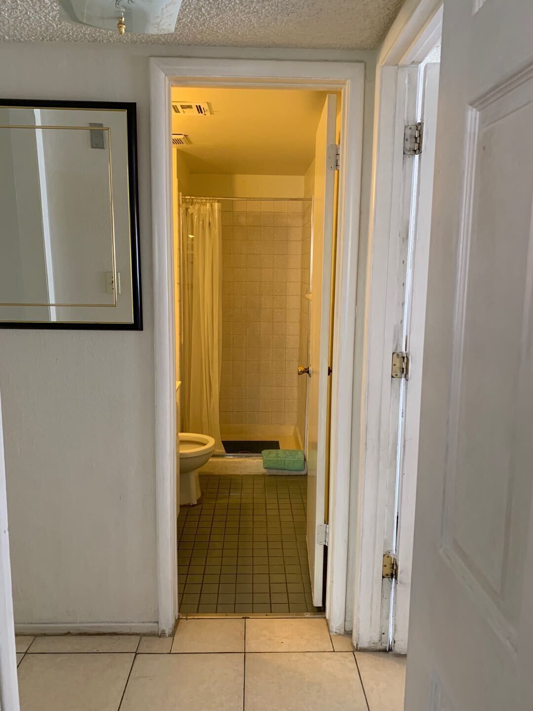 A narrow hallway leading to a bathroom with a toilet, shower, and a green bath mat.
